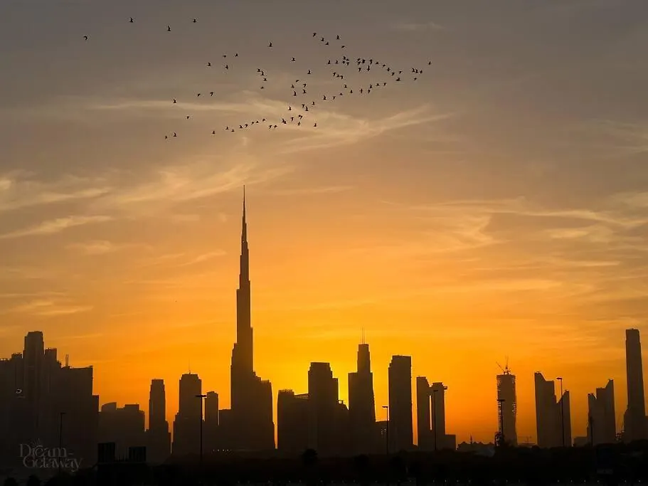 Bright 1Bdr Massive Terrace Overlooking Downtown Dubai Apartment
